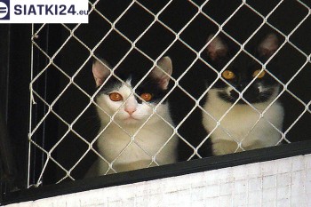 Siatki Chełm - Dobra siatka balkonowa - na ptaki i dla kota dla terenów Chełma